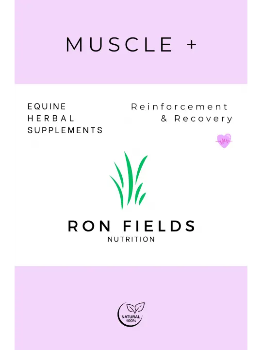 Muscle + 1kg