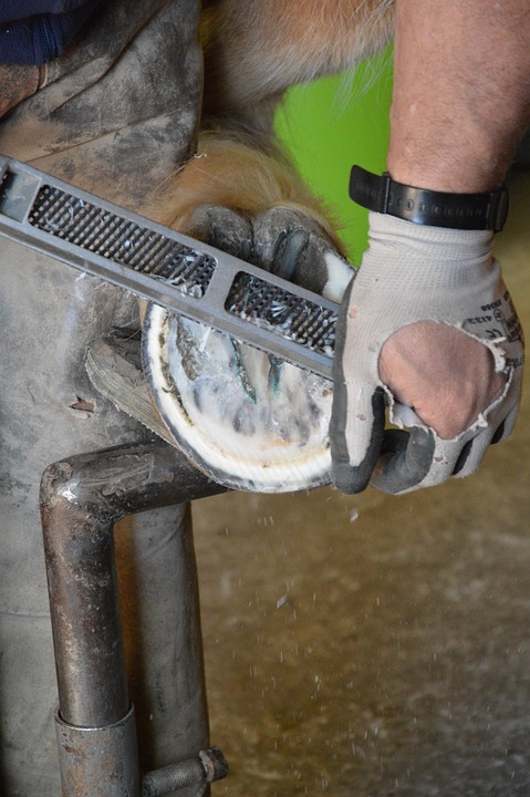 Pince à sonder 30cm, branches droites