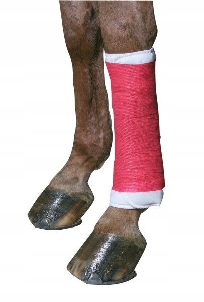Bandage autoadhésif Equilastic blanc, 5cm