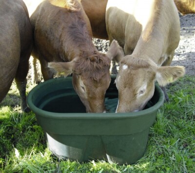 [223517] Abreuvoir de pâture 380L avec bouchon de vidange
