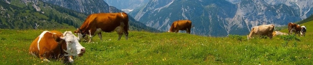 [22365] Etriers de fixation métal, 221860/2218605, 2pcs