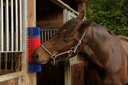 Brosse mi-circulaire bleu-rouge