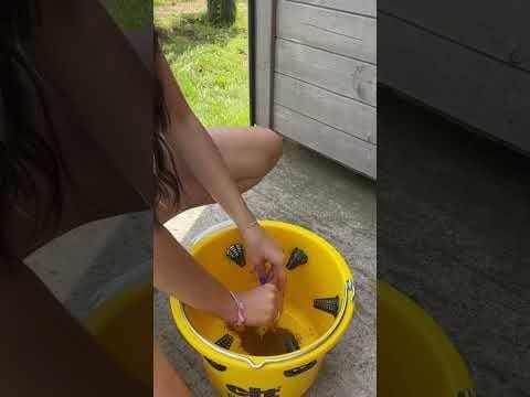 Cit piège mouches FlyCage6, sans inserts à grille 6 trous