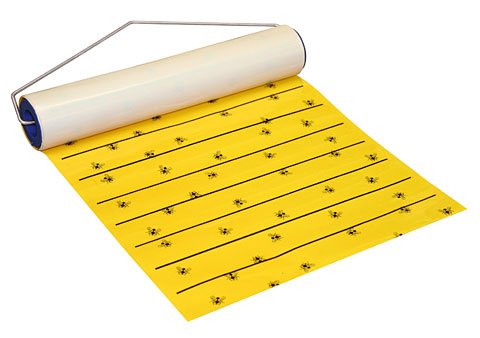Rouleau attrape-mouches 9mX30cm