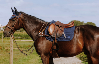 Cravache de dressage avec claquette, noire, 110 cm