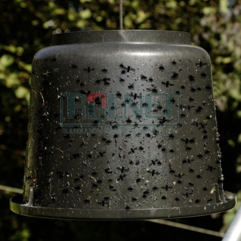 Seau pour colle à taons TaonX avec fixation