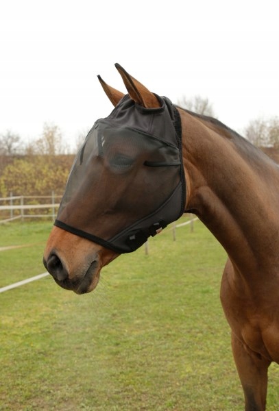 Masque anti-mouche pony