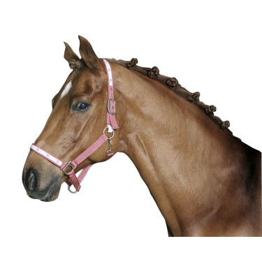 Elastiques de nattage blanc, 800 pièces