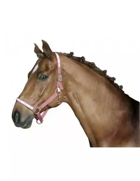 Elastiques de nattage blanc, 500 pièces