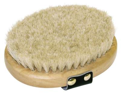 [321623] Brosse lustrante