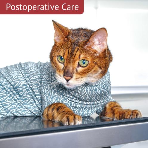 [321625] Panier de diète noir, Pony