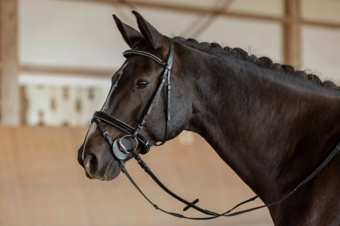 Bridon Standard noir, full