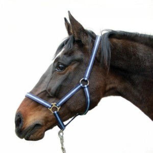 [321903] Licol nylon Hippo Foal marine/bleu clair