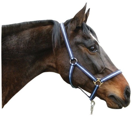 [321923] Licol nylon Hippo, Pony marine/bleu clair