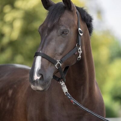 [3222125] Licol nylon Hippo Pony noir