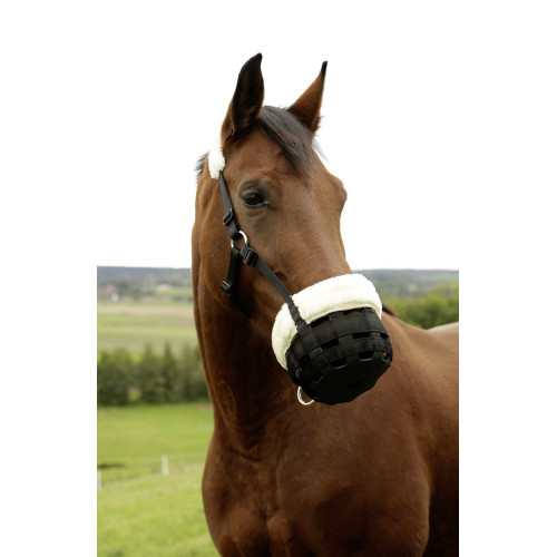 [3222143] Panier de diète Teddyfleece noir, Pony