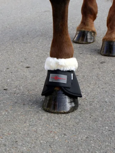 [3222163] Cloches Teddy Fleece noire, Full