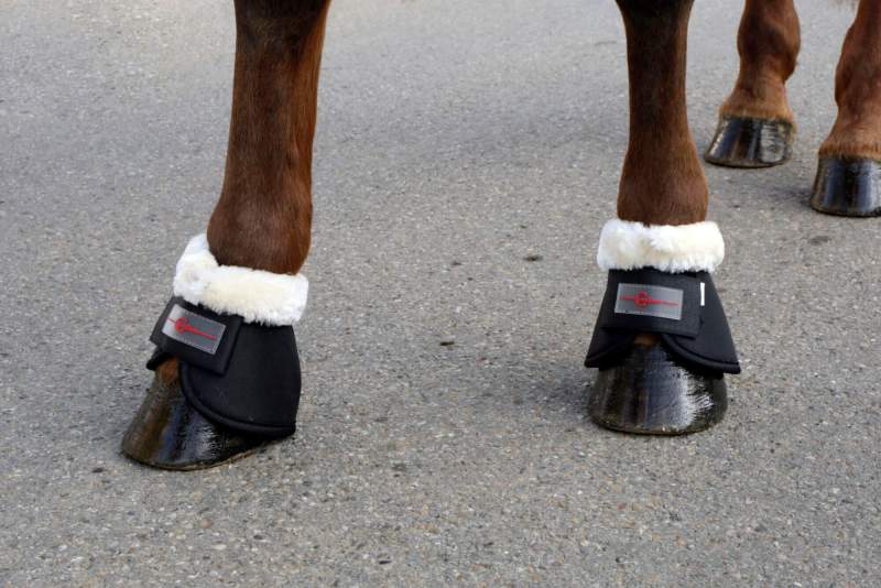 Cloches Teddy Fleece noire, XFull