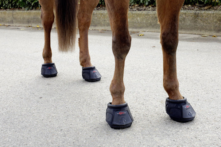 Sandale pour chevaux T. 8