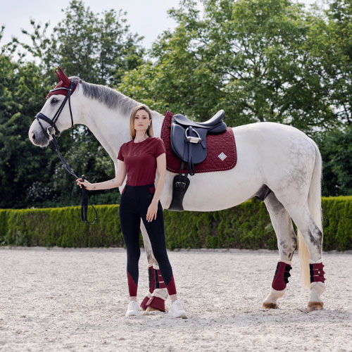 [3223426] Spray pour le cuir 500ml