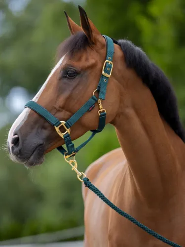 [3224613] Licol TopLine Navy, Full