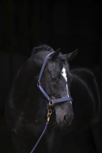 [3224614] Licol TopLine Navy, Xfull