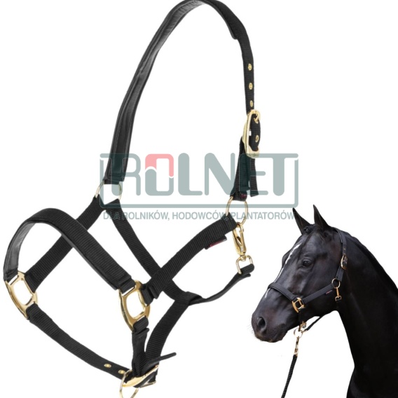 [3224617] Licol TopLine Black, Full