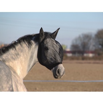 [3224619] Licol TopLine Forest, Pony