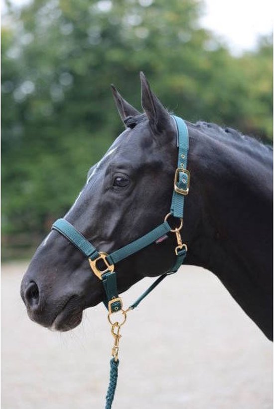 [3224620] Licol TopLine Forest, Cob