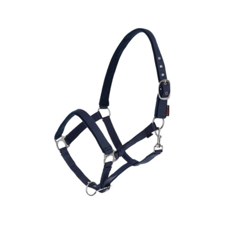 [3224635] Licol Dexter bleu, XXFull