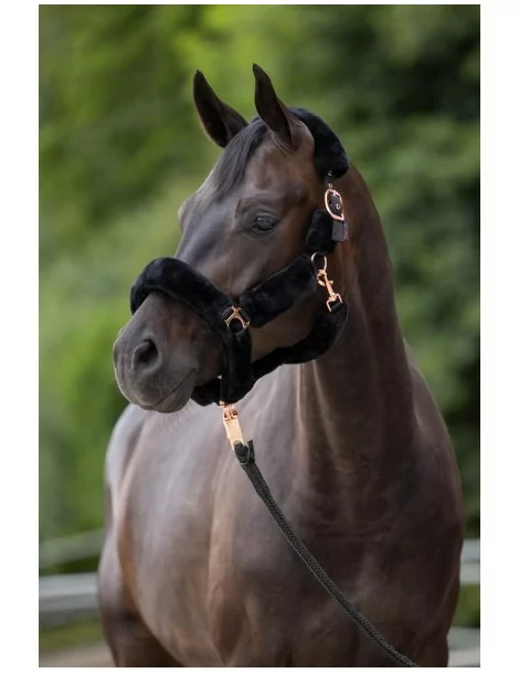 [3224640] Licol SuperSoft