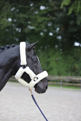 [3224642] Licol SuperSoft