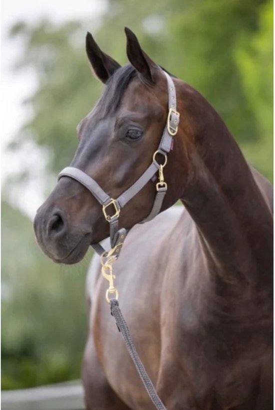 [3224733] Licol Classy Stone, Shetland
