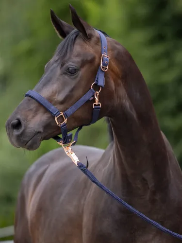 [3224737] Licol Classy Merlot, Shetland