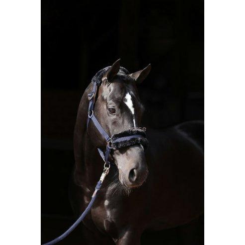 Licol ClassicSoft navy, Shetland