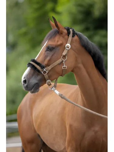 Licol ClassicSoft navy, Full