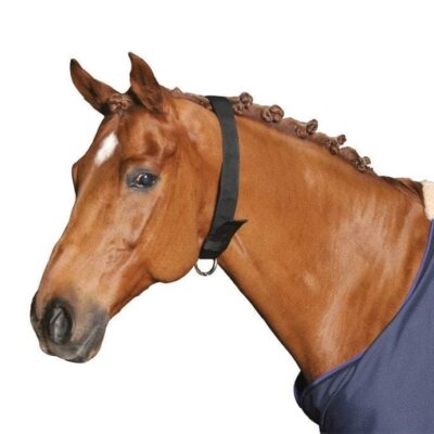 Licol ClassicSoft stone, Shetland