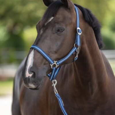 Longe ClassicSoft cappuccino, simple