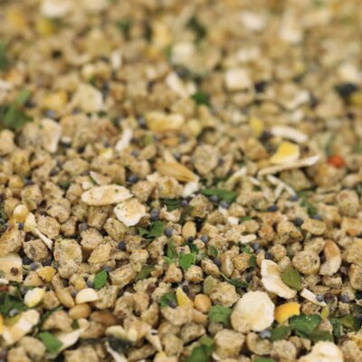 Gant d'équitation Ulanta noir XS