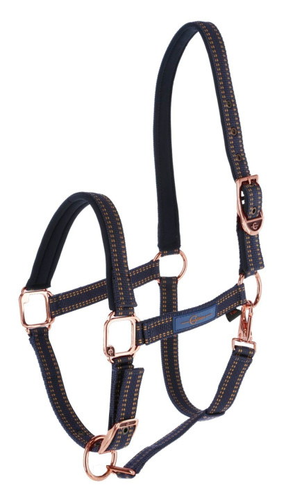 Licol Royal bleu/caramel, Foal