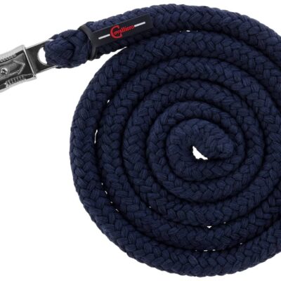 Licol Royal brun/bleu clair, Foal