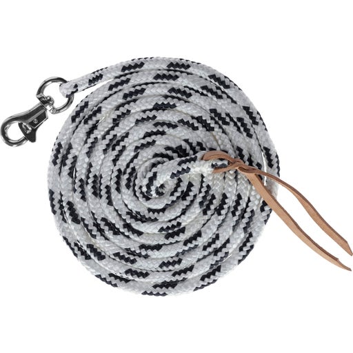 Longe de travail au sol noire ac mousqueton Bull Snap