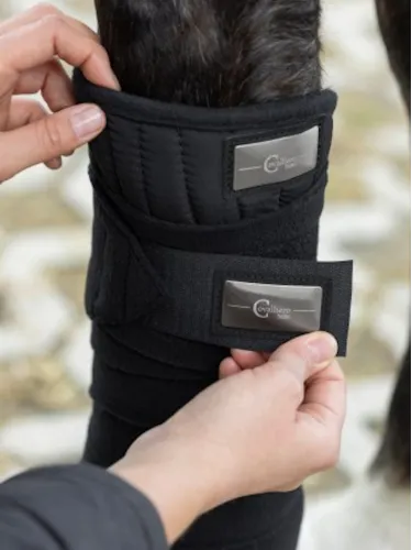 Bandes polaire Cov. Therm 4 pièces, noir