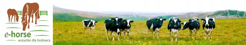 Râtelier à foin zingué, petit modèle, 80mm