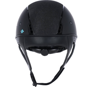 Bridon suédois noir, petit che