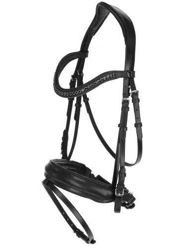 Bridon suédois noir, cheval