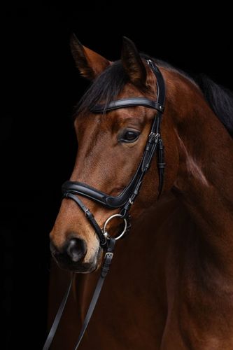 Bridon Anatomic noir, petit ch