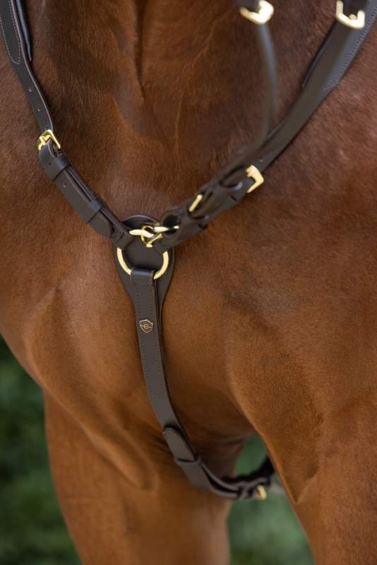 Enrênement noir, cheval