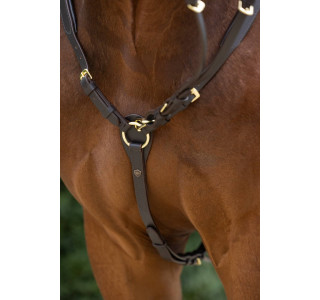 Enrênement marron, cheval