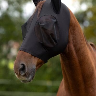 Gant d’équitation Antana, whit